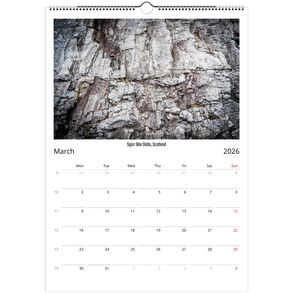 31319a5b-f9dc-4895-bf83-fe5ef7cc6d17