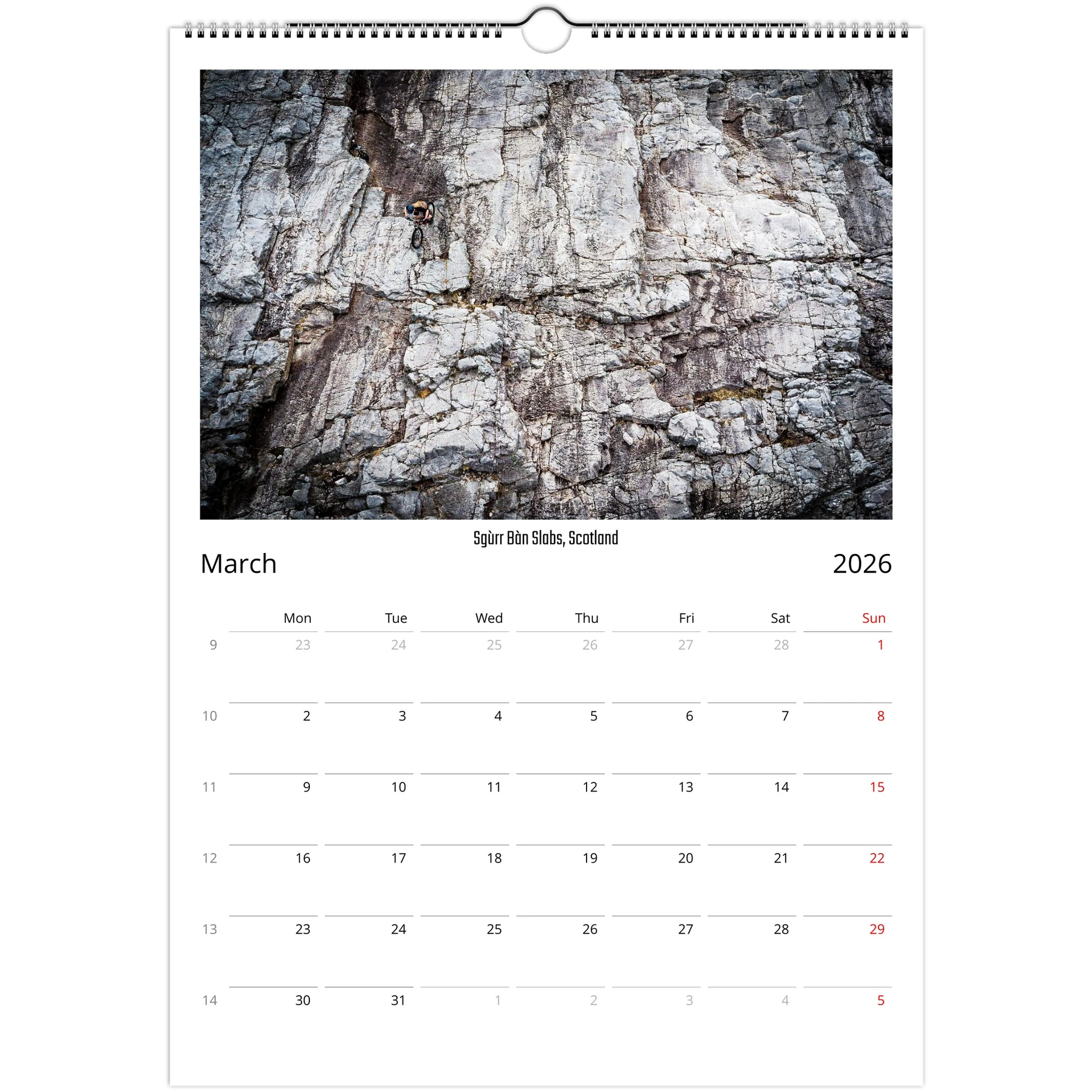 31319a5b-f9dc-4895-bf83-fe5ef7cc6d17