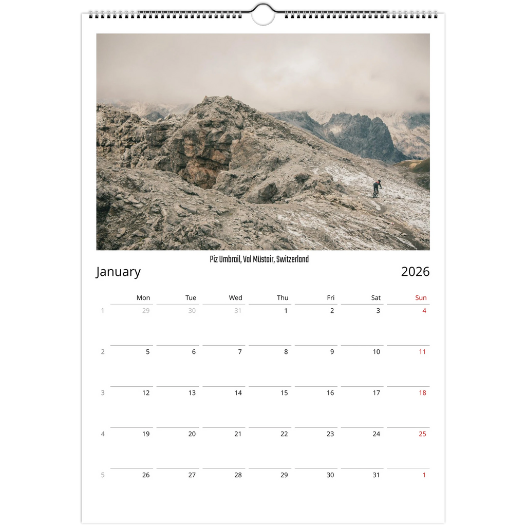 ae895a16-bbb1-4491-bea4-a6635ae0e339