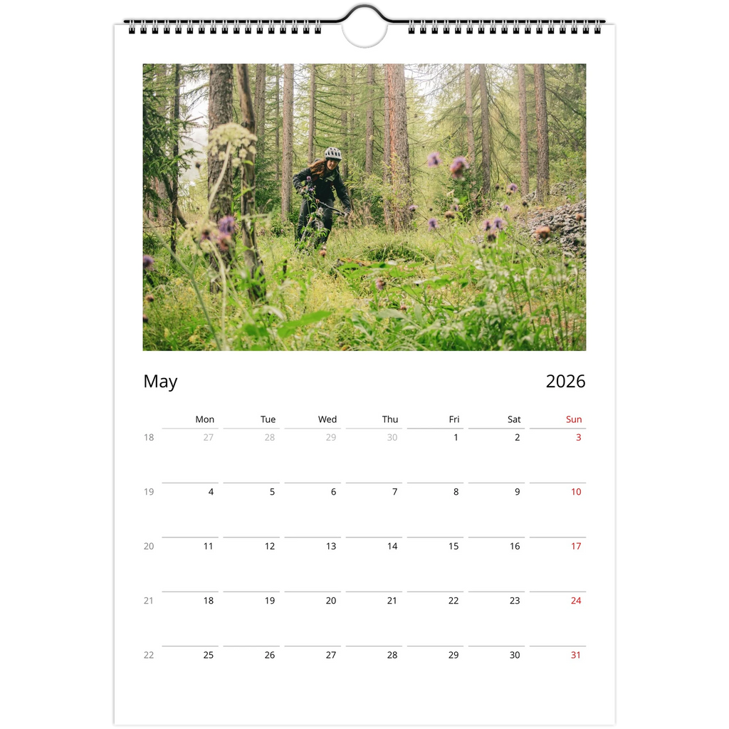 ce73a5d8-b092-4171-b99f-a752c762fc93