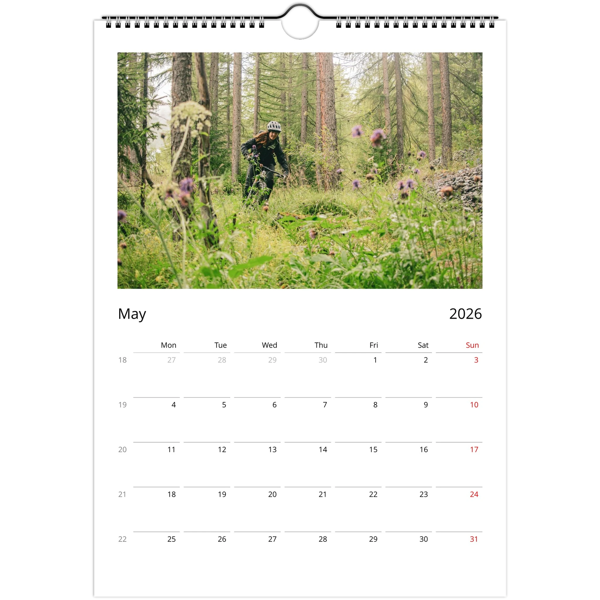 ce73a5d8-b092-4171-b99f-a752c762fc93